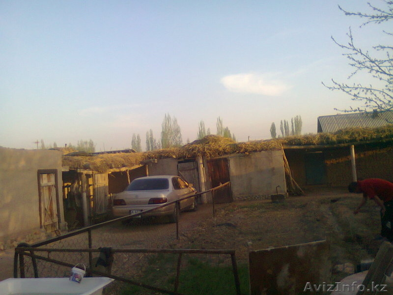 Отличный дом в Жаркенте - Изображение #8, Объявление #235983