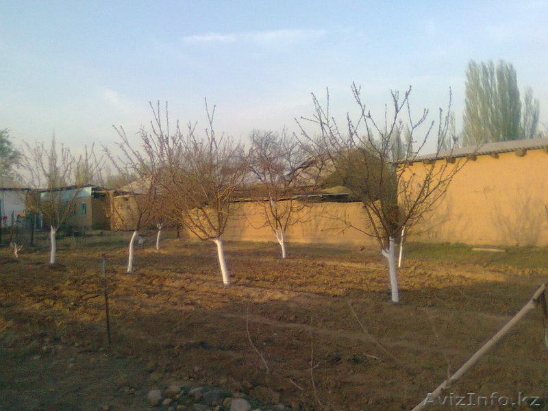 Отличный дом в Жаркенте - Изображение #10, Объявление #235983