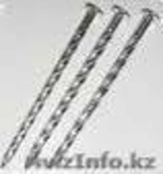 Гвозди строительные, винтовые, шиферные, спец. гвозди, саморезы. - Изображение #2, Объявление #222535