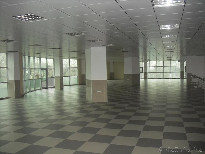 Сдам в аренду здание 2000 кв.м  - Изображение #5, Объявление #236373