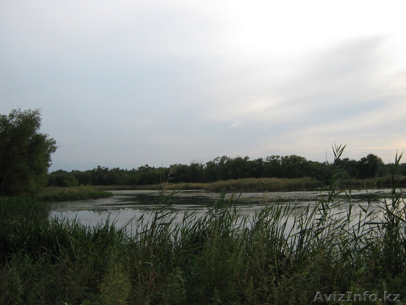 Аренда земли Алматинская Боласть  - Изображение #3, Объявление #220691