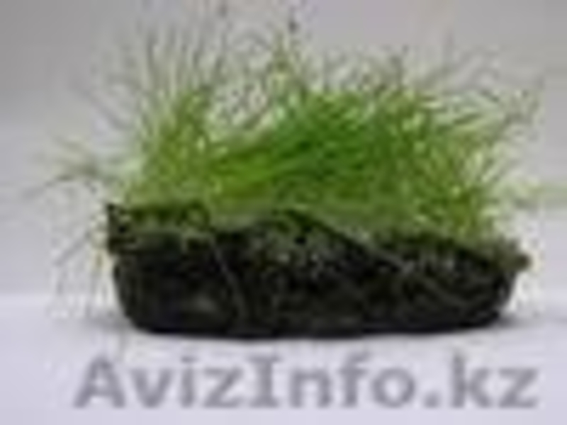 ИП Пархоменко Сетки,ленты,конуса - Изображение #10, Объявление #235439