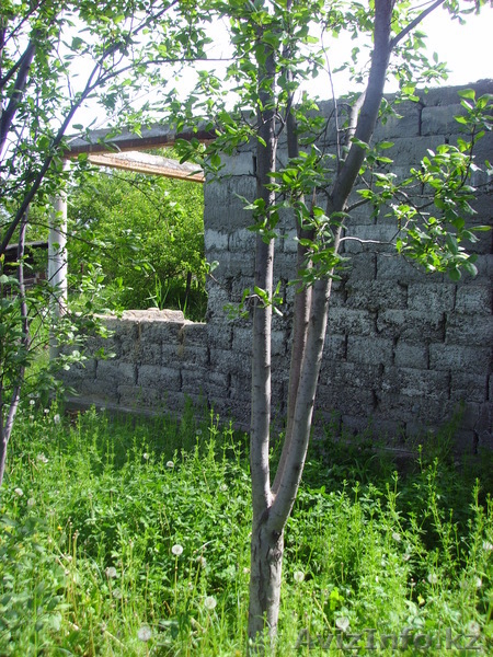 Дача в тураре находится  - Изображение #1, Объявление #241192