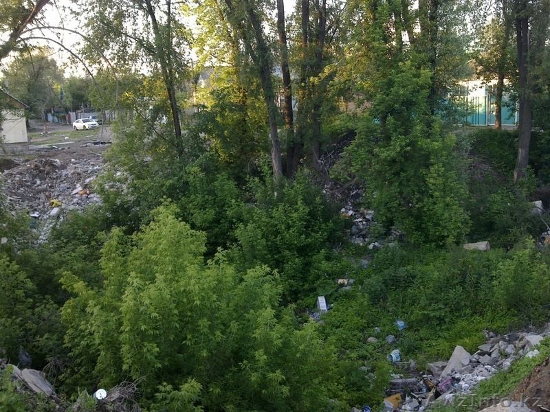 Продам землю в Иргели - Изображение #2, Объявление #278661