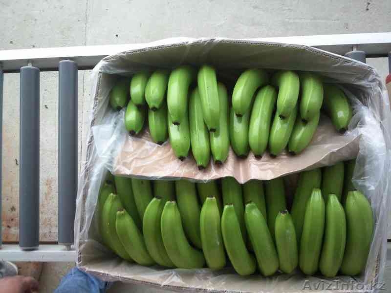 Фрукты и овощи импорт - Изображение #3, Объявление #220876