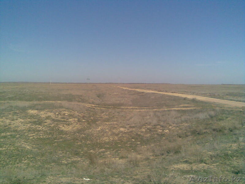 Аренда земельного участка сельхрзназначения - Изображение #1, Объявление #266501