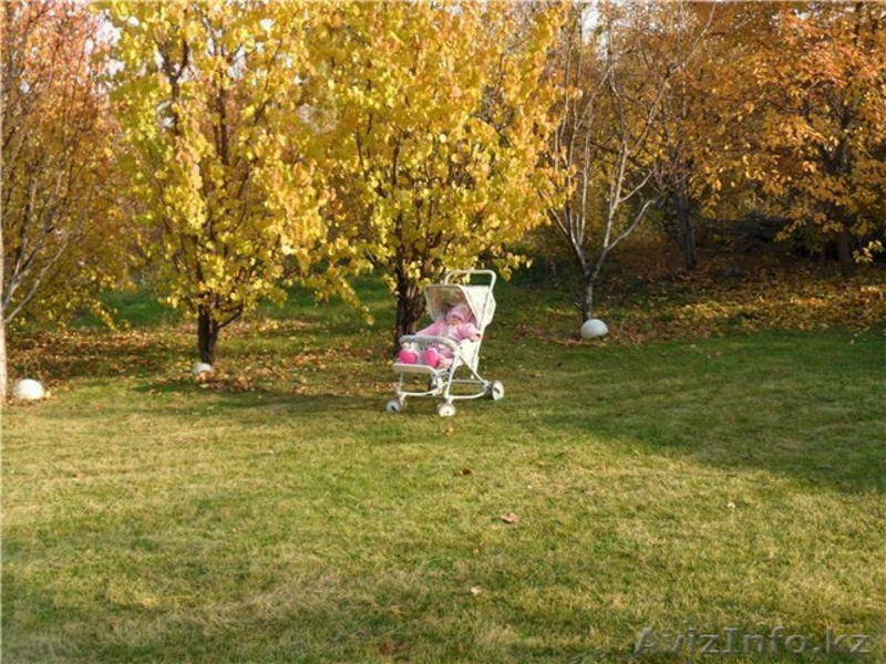 Акжар за Каменкой - Изображение #1, Объявление #257970