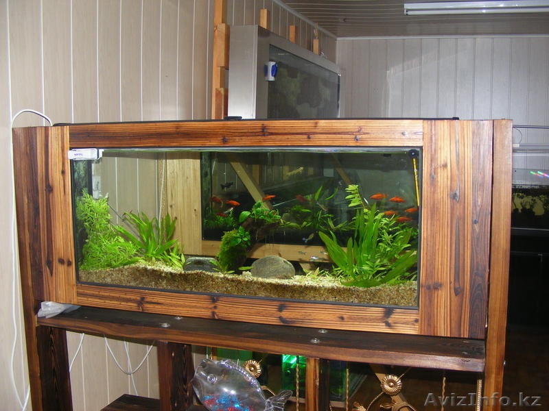 аквариумы без подмены воды - Изображение #3, Объявление #261454