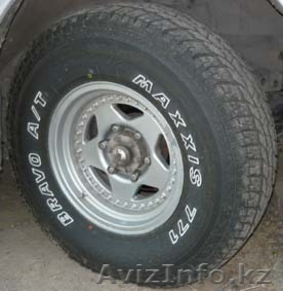 Rotveller._@mail.ru - Изображение #4, Объявление #272469