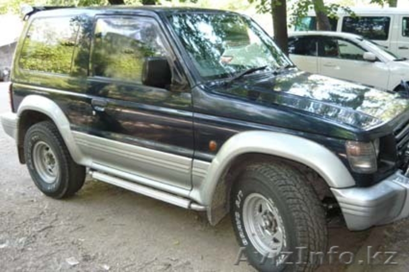 Rotveller._@mail.ru - Изображение #7, Объявление #272469