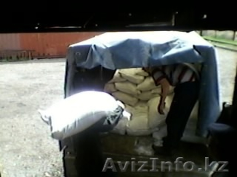 Удобрения, карбамид, селитра, аммафоска и др - Изображение #4, Объявление #258990