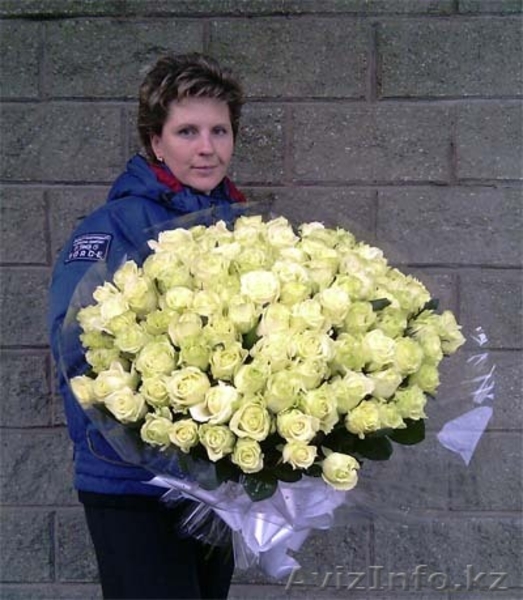 РОЗЫ!!! 101 роза - Изображение #2, Объявление #277516