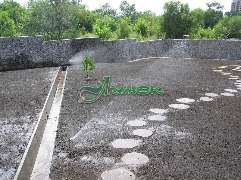 Лужок Ландшафтное проектирование, озеленение - Изображение #3, Объявление #128343