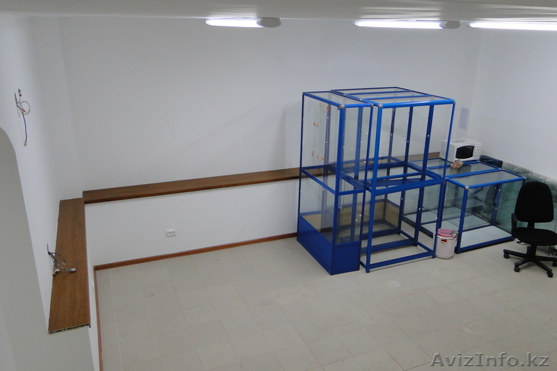 Сдам в аренду магазин Толе би - Саина - Изображение #2, Объявление #308285