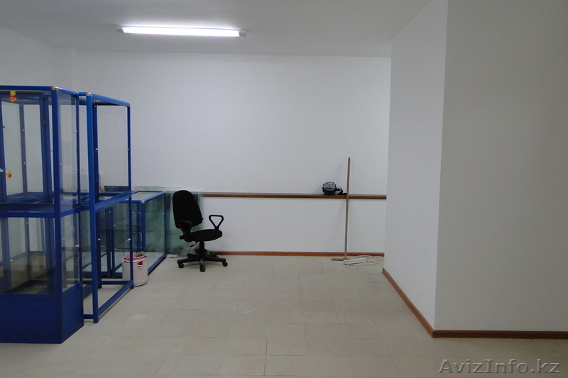 Сдам в аренду магазин Толе би - Саина - Изображение #3, Объявление #308285