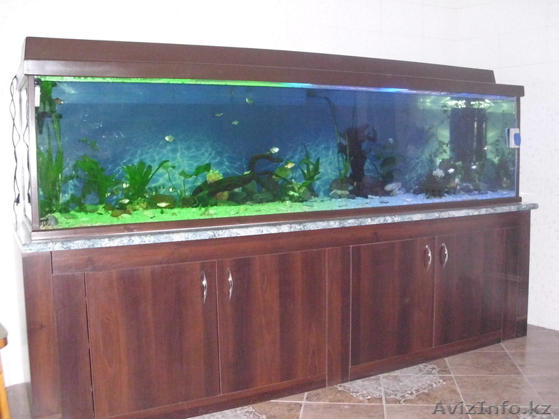 Продажа, изготовление аквариумов - Изображение #4, Объявление #215046