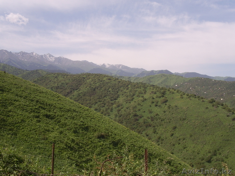 Срочно продам или обменяю дачу - Изображение #1, Объявление #289787