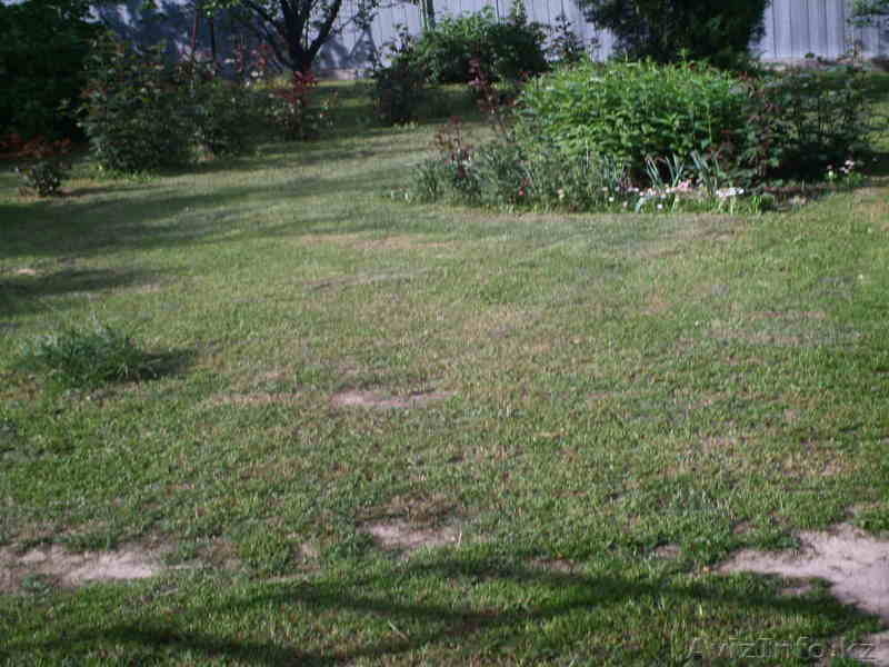 СРОЧНО ТОРГ НЕ В ЗОЛОГЕ  - Изображение #2, Объявление #284203