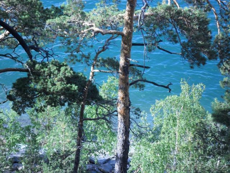 Боровое прекраснее любой сказки - Изображение #3, Объявление #316692