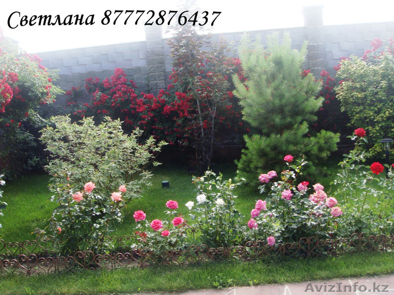 ЛАНДШАФТНЫЙ ДИЗАЙН ОЗЕЛЕНЕНИЕ  - Изображение #4, Объявление #336237