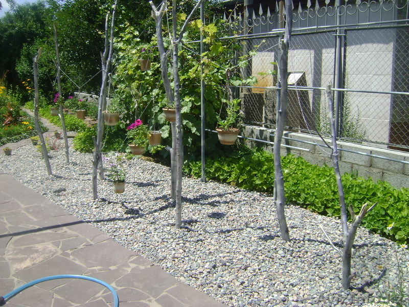 Ландшафтный дизайн, озеленение, благоустройство. - Изображение #8, Объявление #311385