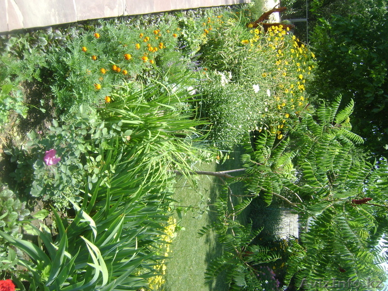 Ландшафтный дизайн, озеленение, благоустройство. - Изображение #5, Объявление #311385