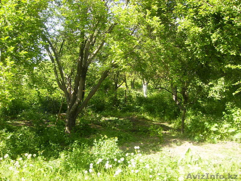 Дачный участок 6 соток в Илийском районе $11.000  - Изображение #1, Объявление #337563