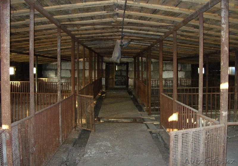 продается усадьба с хоз. постройками - Изображение #2, Объявление #324026