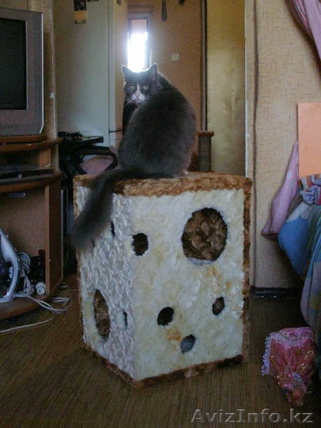 домики для кошек - Изображение #3, Объявление #279298