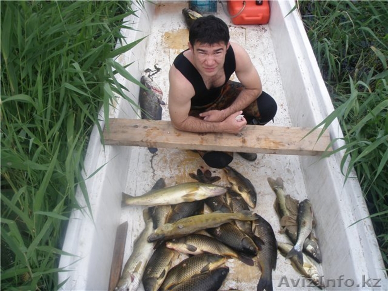 Рыболовная база "Трофейная" - Изображение #4, Объявление #368885