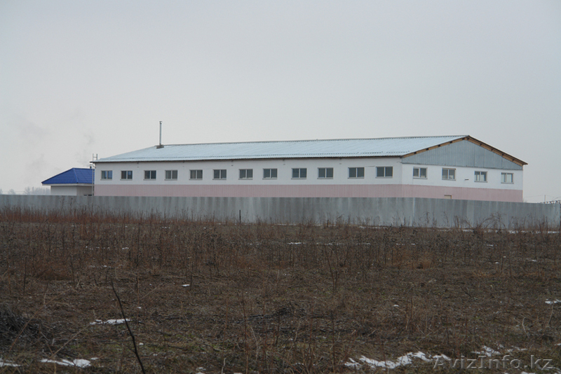 продам или поменяю на жилье,- новый цех 500 кв м - Изображение #2, Объявление #375411