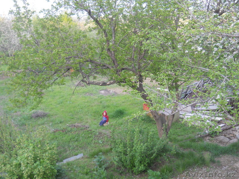 Продам Дом -Дачу - Изображение #4, Объявление #383204