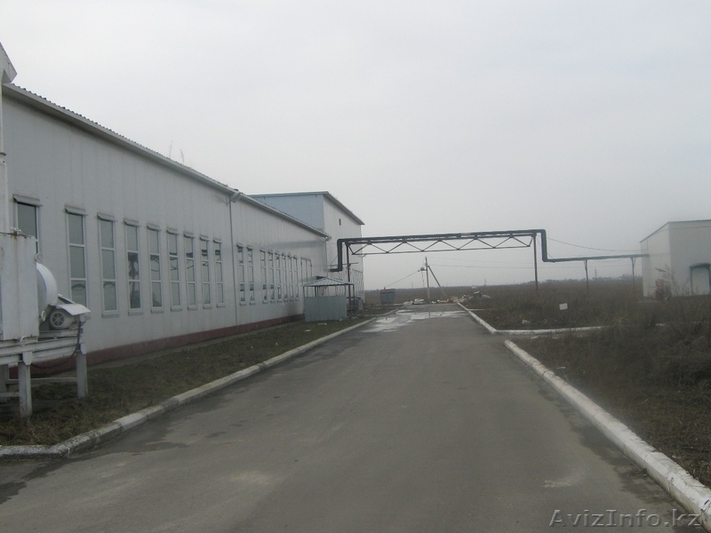 Действующий завод в Жармухамбете - Изображение #6, Объявление #393174