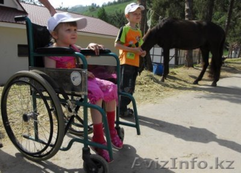 Курсы по ИППОТЕРАПИЯ, альтернативные метод лечение ДЦП - Изображение #3, Объявление #403094