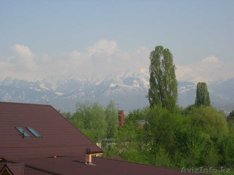 Индивидуальный проект в КГ "ДОСТЫК" - Изображение #7, Объявление #413088