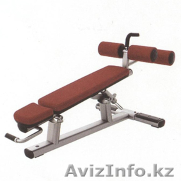 тренажеры 8 707 611 88 11 - Изображение #6, Объявление #401643