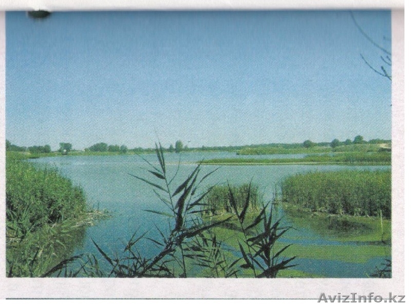  Крестьянское  Хозяйство продам - Изображение #2, Объявление #413641