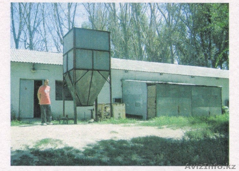 Птицевоческое Хозяйство - Изображение #4, Объявление #413640