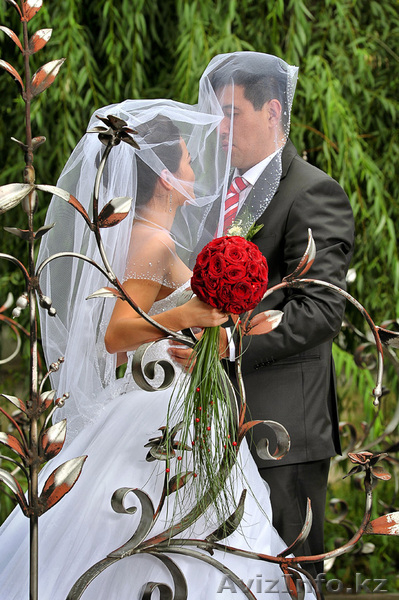 Профессиональная фотосъемка. Все виды. - Изображение #1, Объявление #435920