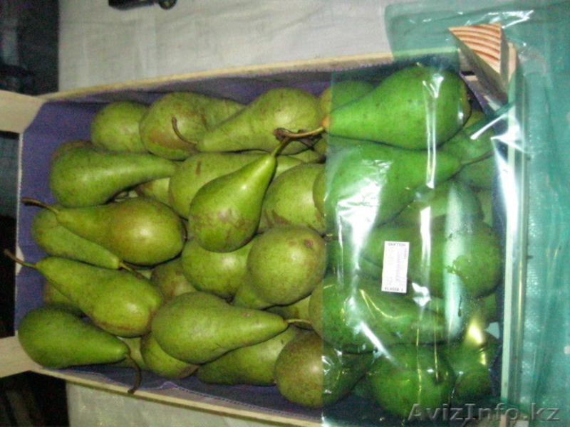 Фрукты и овощи импорт - Изображение #7, Объявление #220876