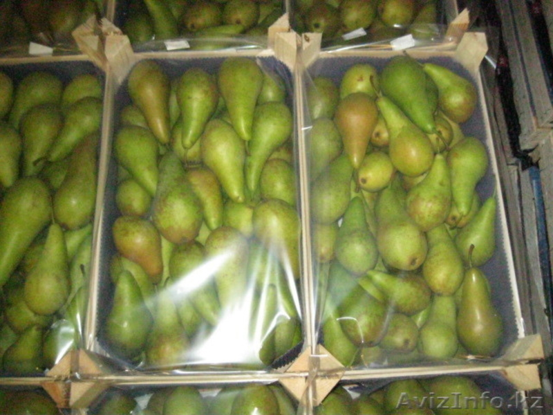 Фрукты и овощи импорт - Изображение #8, Объявление #220876