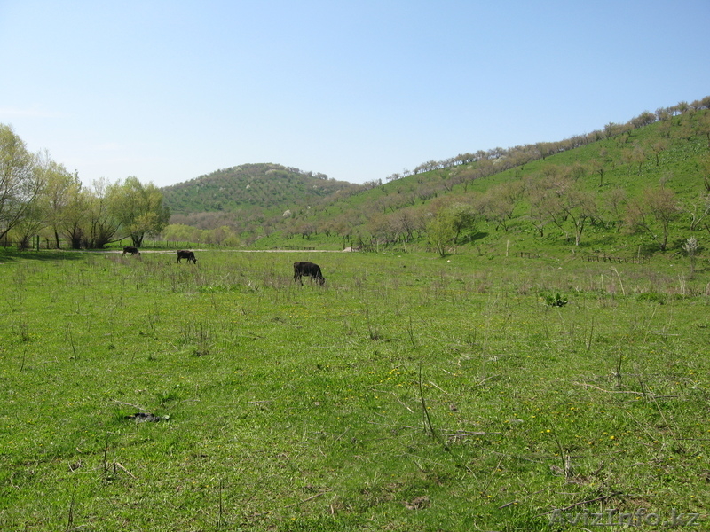 РАЙСКИЙ УГОЛОК ДЛЯ ЖИЗНИ - Изображение #1, Объявление #432892