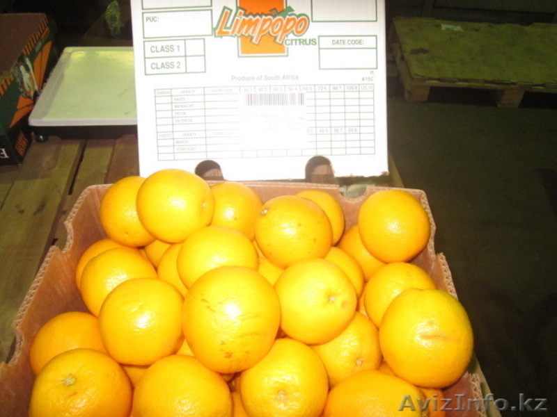 Фрукты и овощи импорт - Изображение #10, Объявление #220876