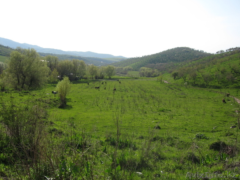 РАЙСКИЙ УГОЛОК ДЛЯ ЖИЗНИ - Изображение #2, Объявление #432892