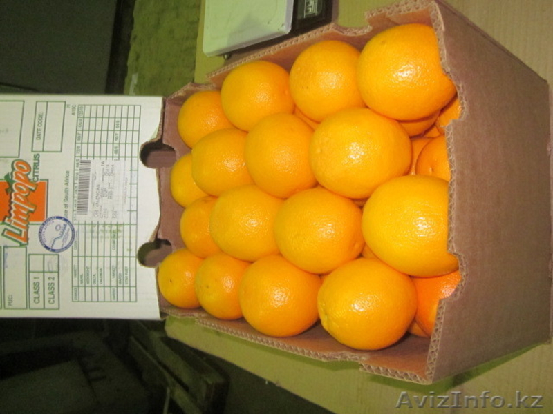 Фрукты и овощи импорт - Изображение #9, Объявление #220876