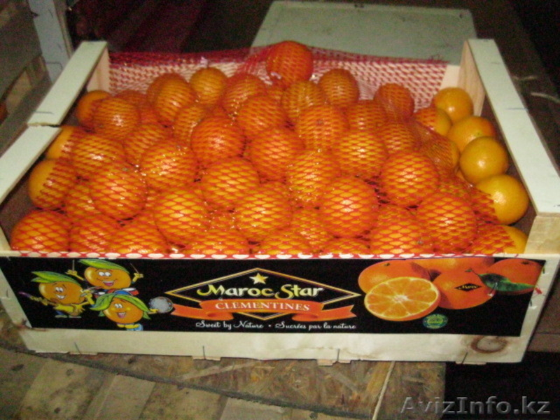 Фрукты и овощи импорт - Изображение #6, Объявление #220876