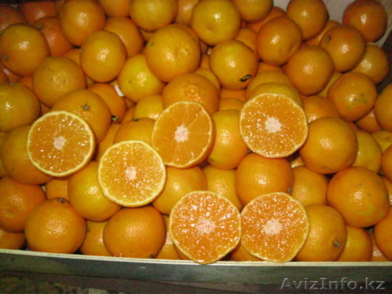 Фрукты и овощи импорт - Изображение #5, Объявление #220876