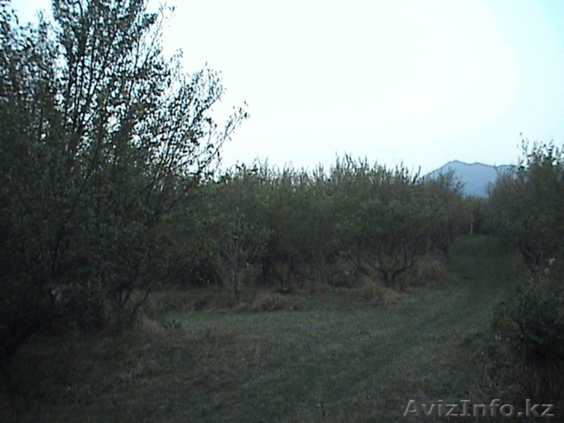 Партнёрство, спонсорство. - Изображение #4, Объявление #425362