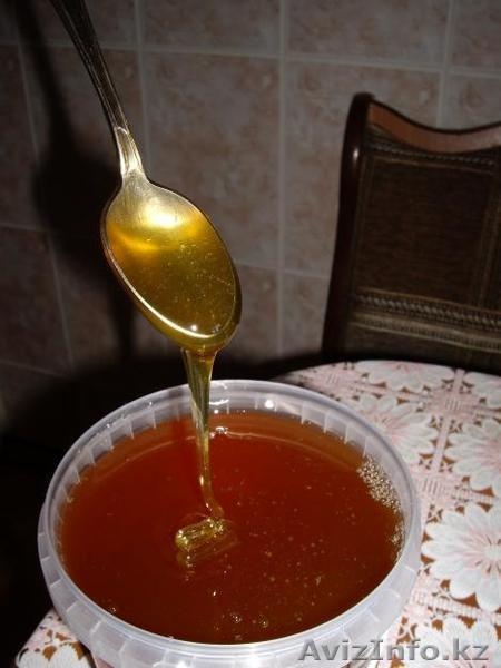 МЕД НАТУРАЛЬНЫЙ! - Изображение #1, Объявление #464871