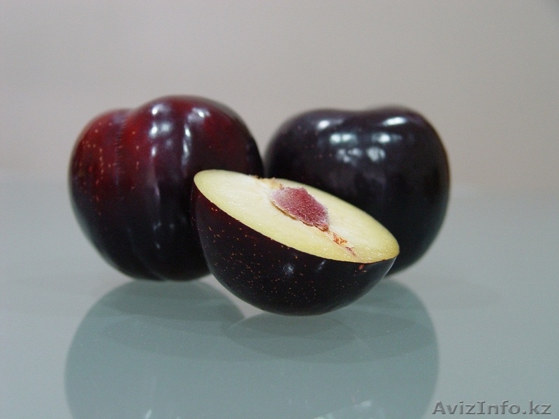 Саженцы (привитые, карликовых, полукарликовых и классических) плодовоягодных. ) - Изображение #9, Объявление #471566